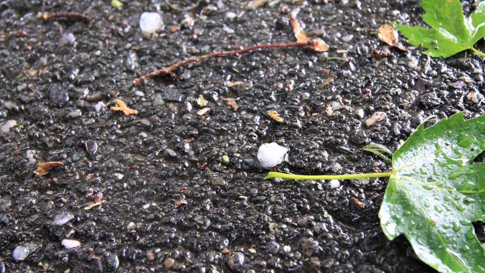Des grêlons de plus d'un centimètre de diamètre à Saint-Georges