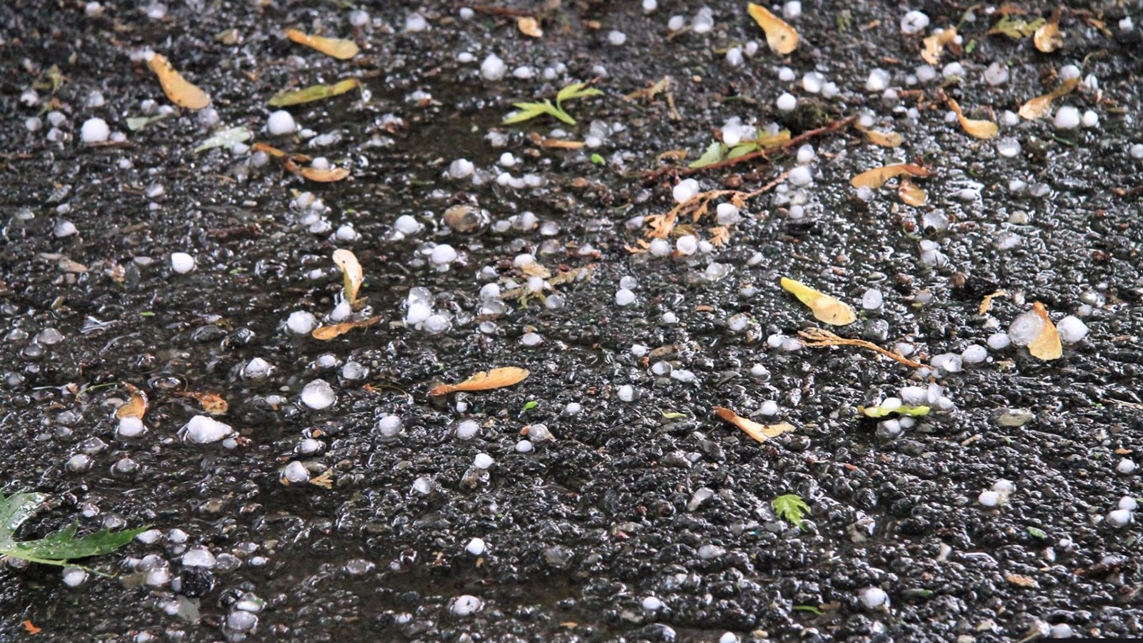 Des grêlons de plus d'un centimètre de diamètre à Saint-Georges