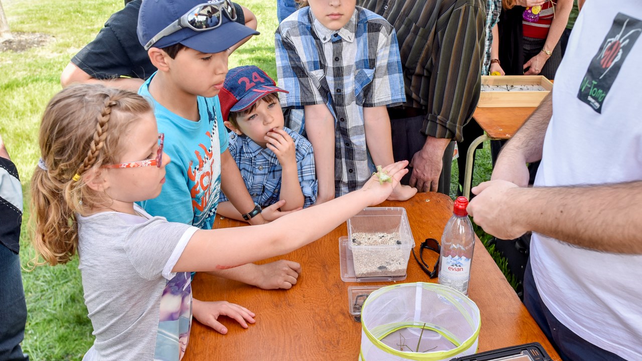 Des scorpions côtoient insectes et araignées au centre culturel de Saint-Georges