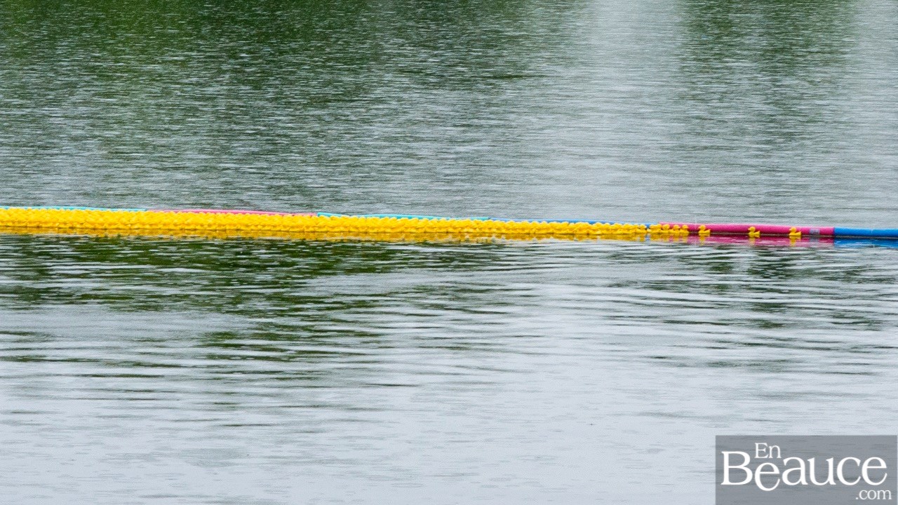 Près de 4 000 canards ont pris part à la course du Club de natation régional de Beauce 
