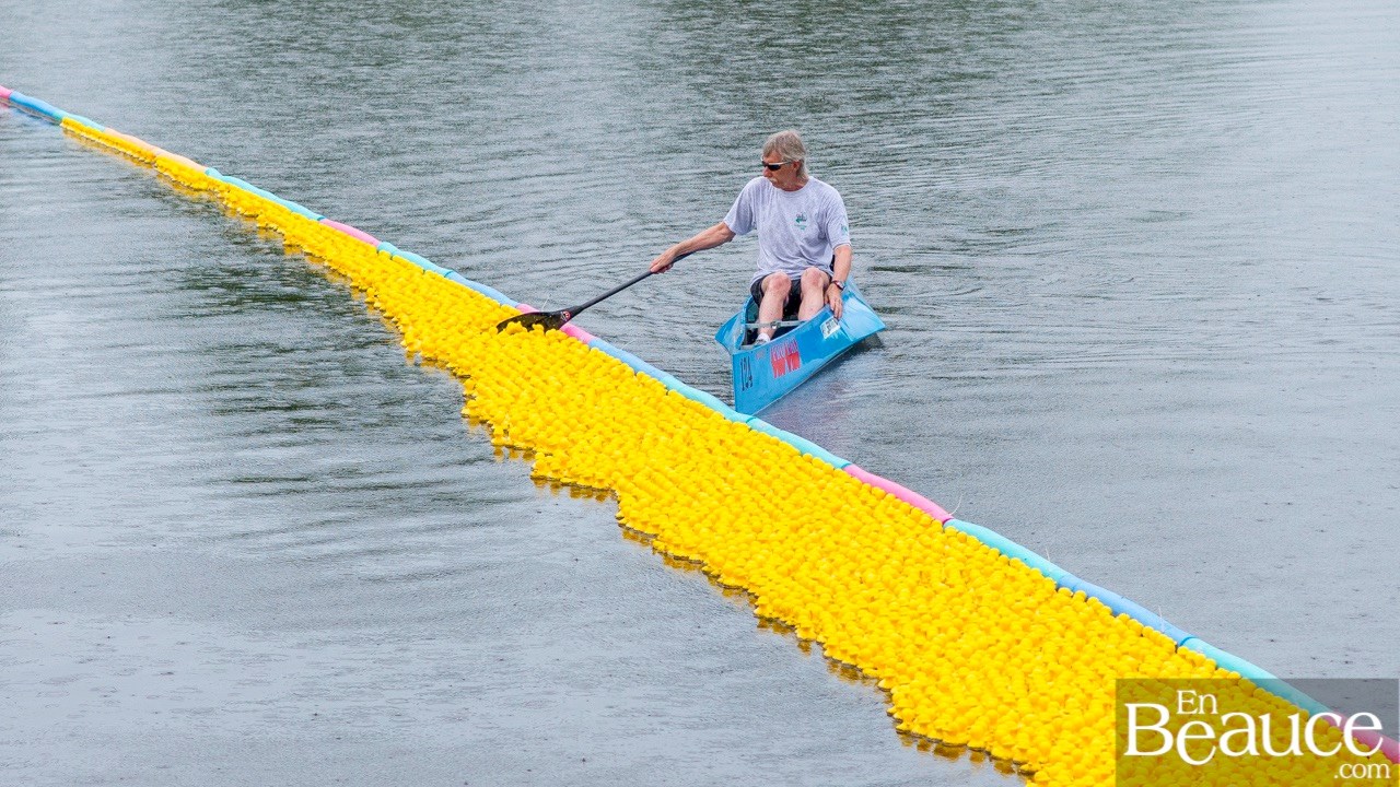 Près de 4 000 canards ont pris part à la course du Club de natation régional de Beauce 