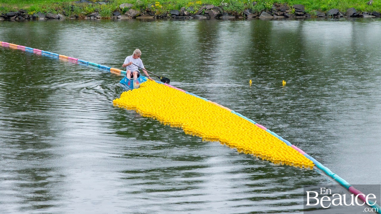 Près de 4 000 canards ont pris part à la course du Club de natation régional de Beauce 