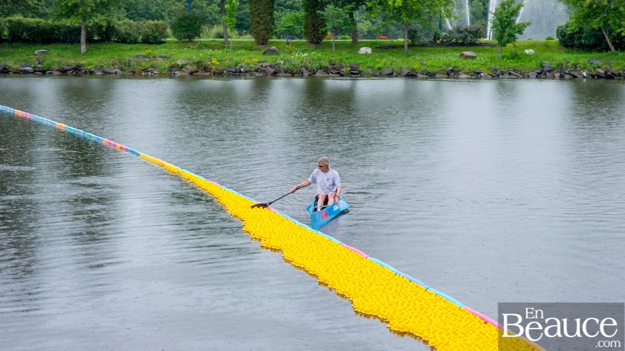 Près de 4 000 canards ont pris part à la course du Club de natation régional de Beauce 