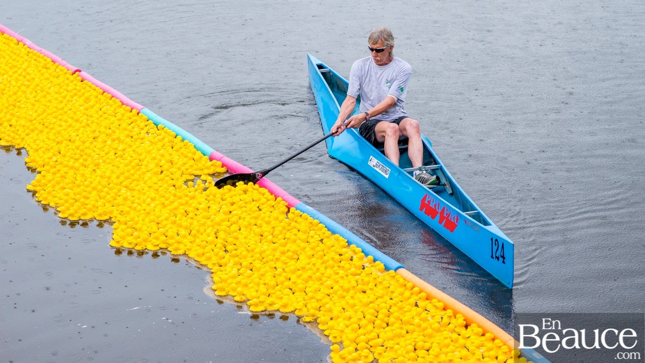 Près de 4 000 canards ont pris part à la course du Club de natation régional de Beauce 
