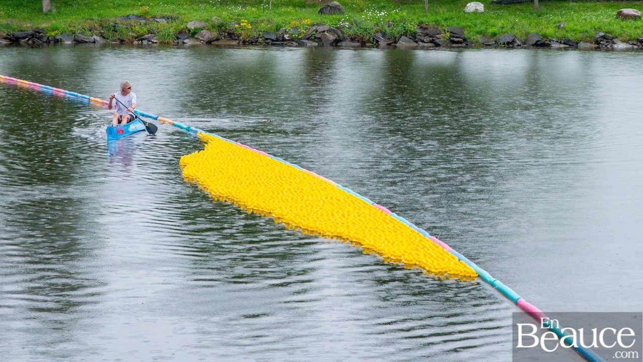 Près de 4 000 canards ont pris part à la course du Club de natation régional de Beauce 