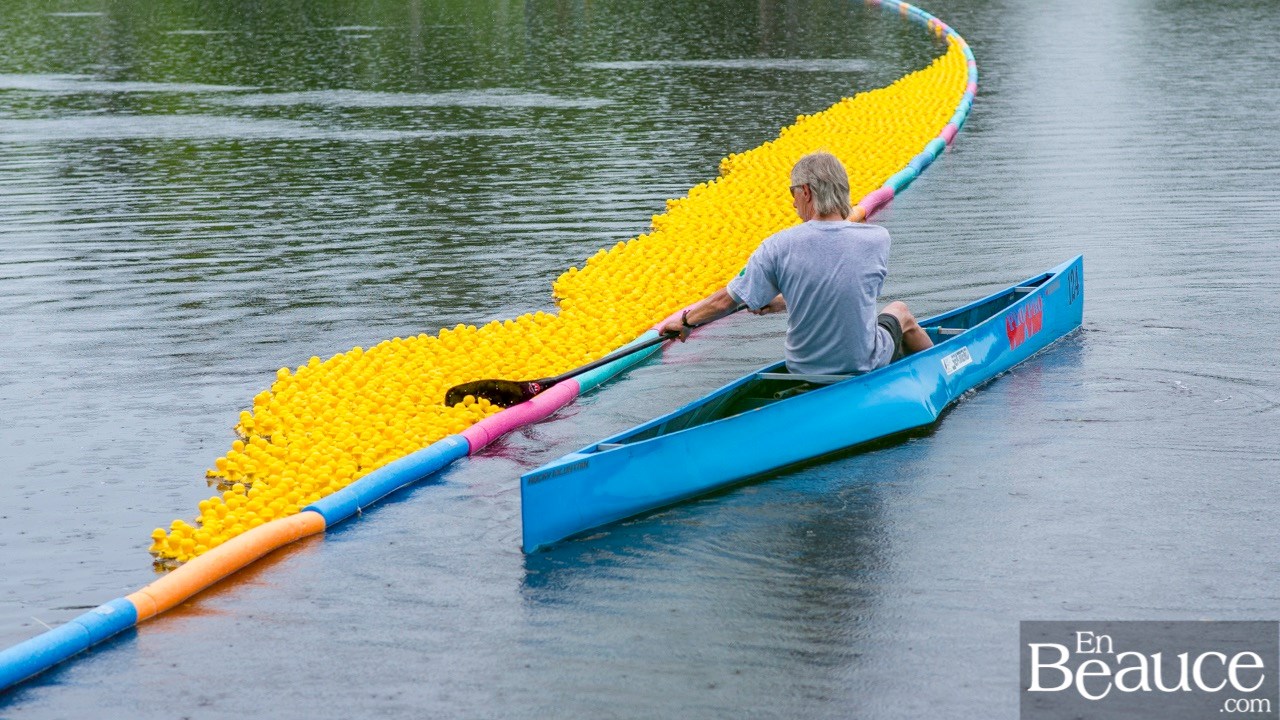 Près de 4 000 canards ont pris part à la course du Club de natation régional de Beauce 