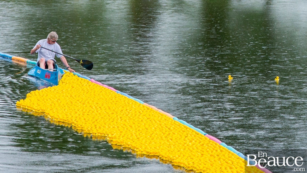 Près de 4 000 canards ont pris part à la course du Club de natation régional de Beauce 