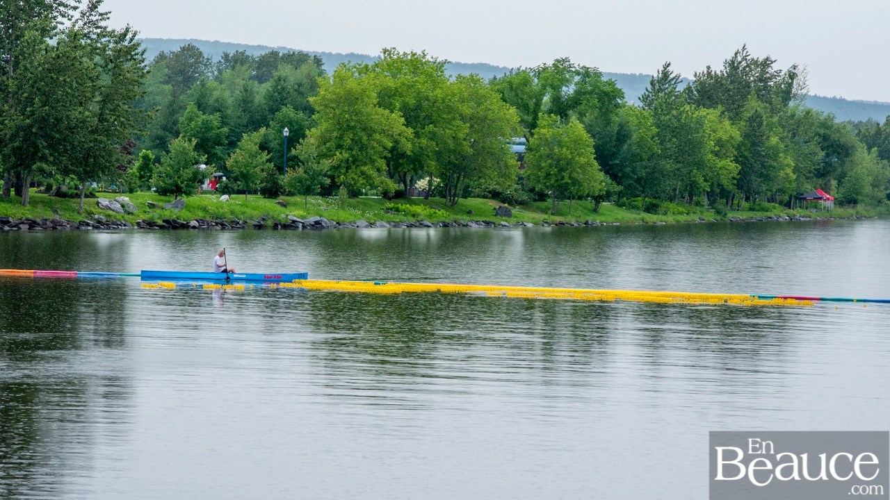 Près de 4 000 canards ont pris part à la course du Club de natation régional de Beauce 