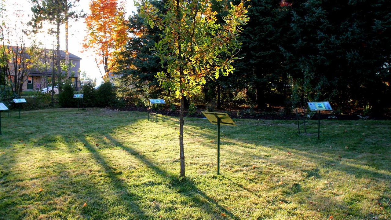 Inauguration de trois plaques commémoratives au parc « Un arbre un livre » de Saint-Frédéric