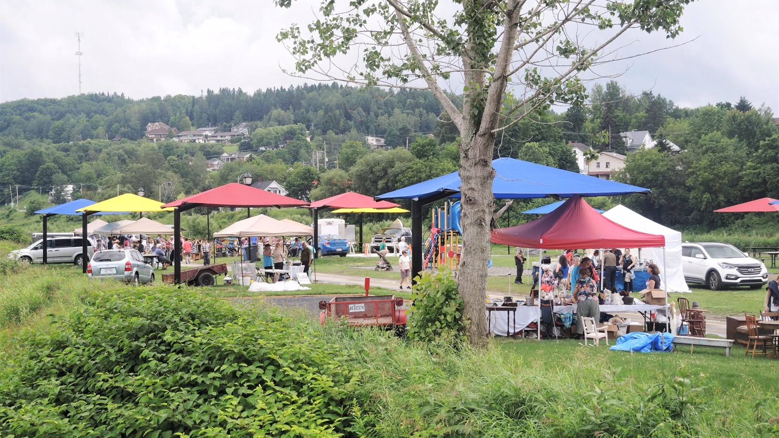 La Grand Marché annuel de Beauceville, édition 2017, s'est déroulé sur l'Île Ronde lors du samedi 8 juillet 2017.