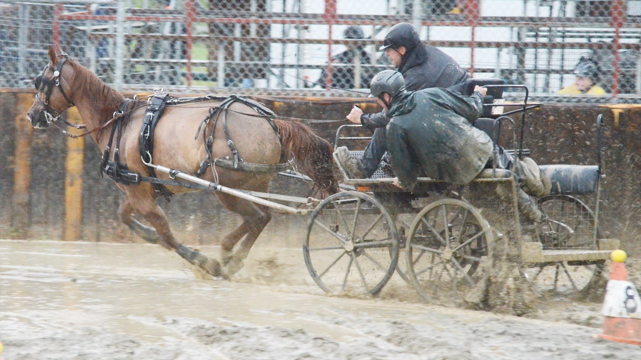 Un derby d'attelage sous une pluie battante à Nashville en Beauce