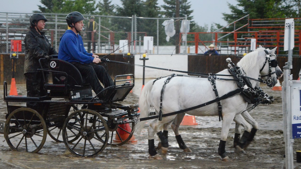 Un derby d'attelage sous une pluie battante à Nashville en Beauce