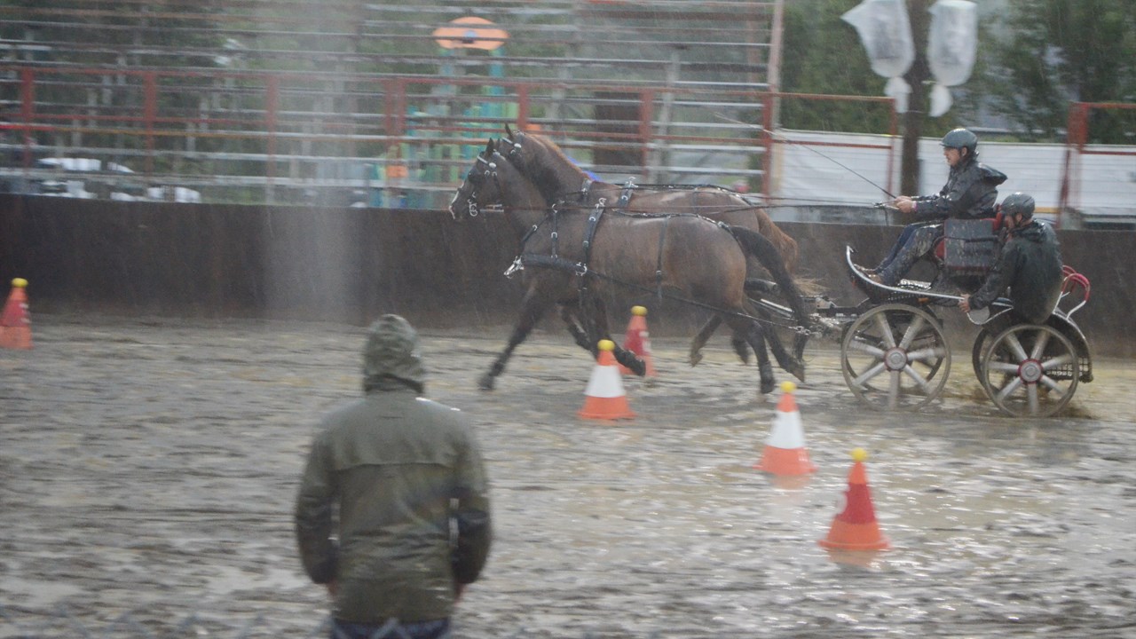 Un derby d'attelage sous une pluie battante à Nashville en Beauce