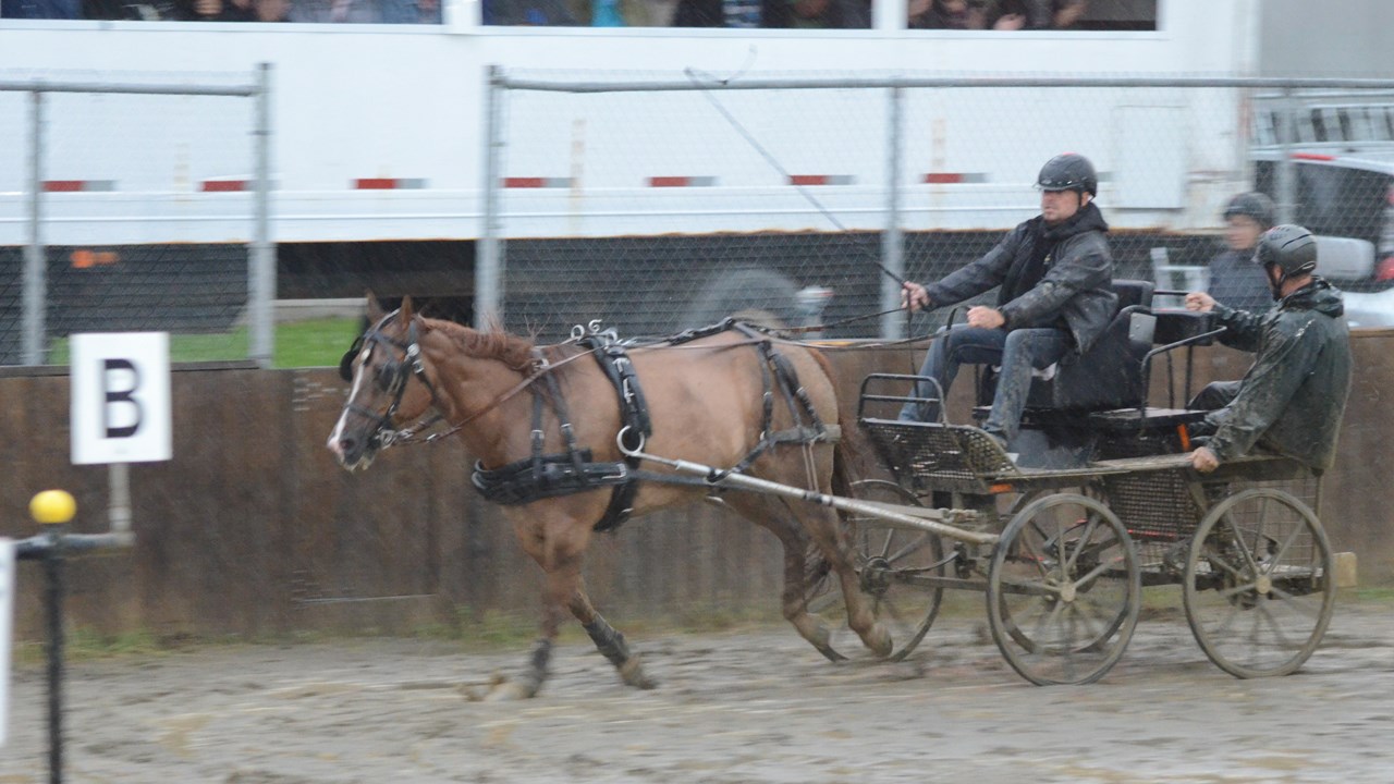 Un derby d'attelage sous une pluie battante à Nashville en Beauce