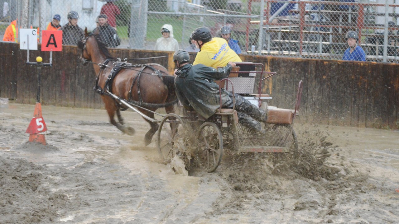 Un derby d'attelage sous une pluie battante à Nashville en Beauce