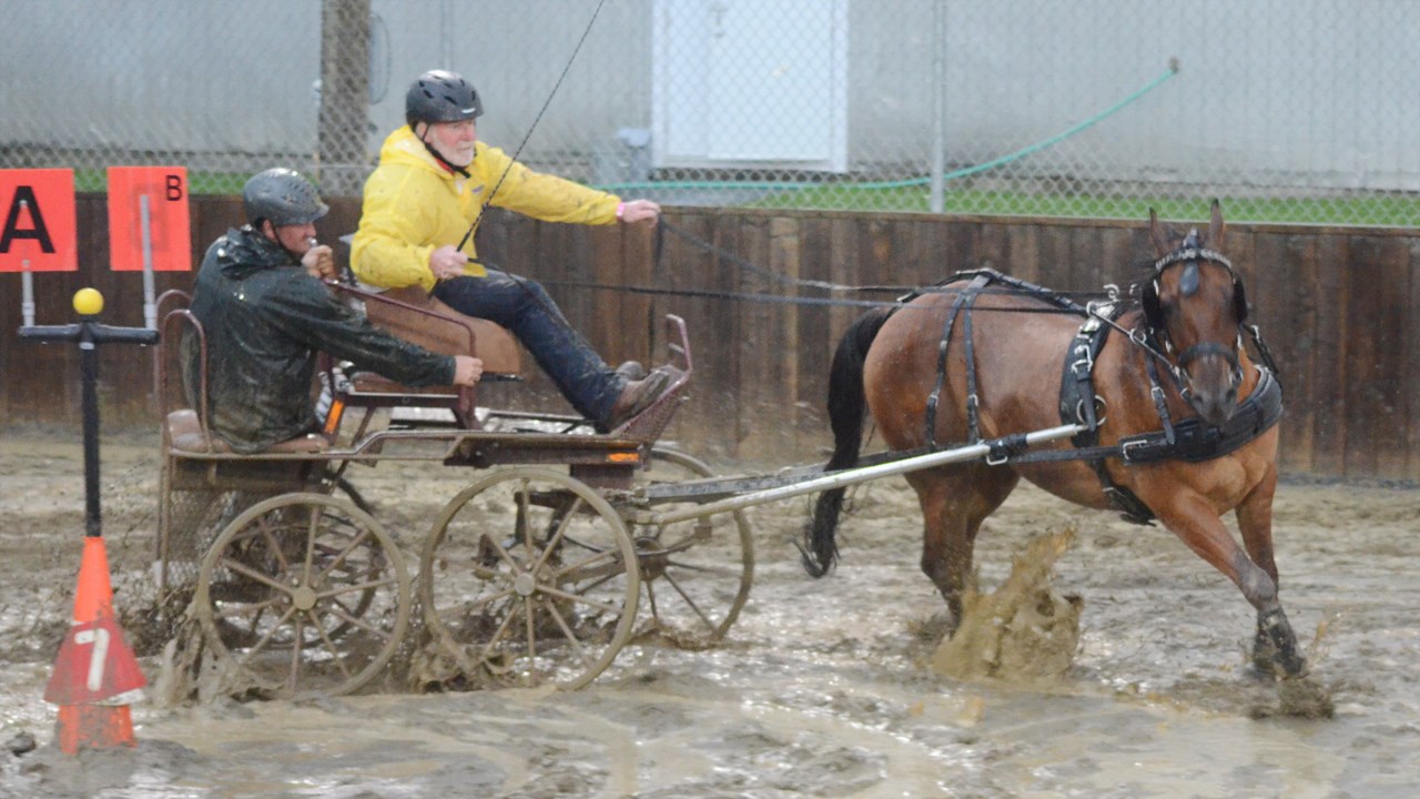 Un derby d'attelage sous une pluie battante à Nashville en Beauce