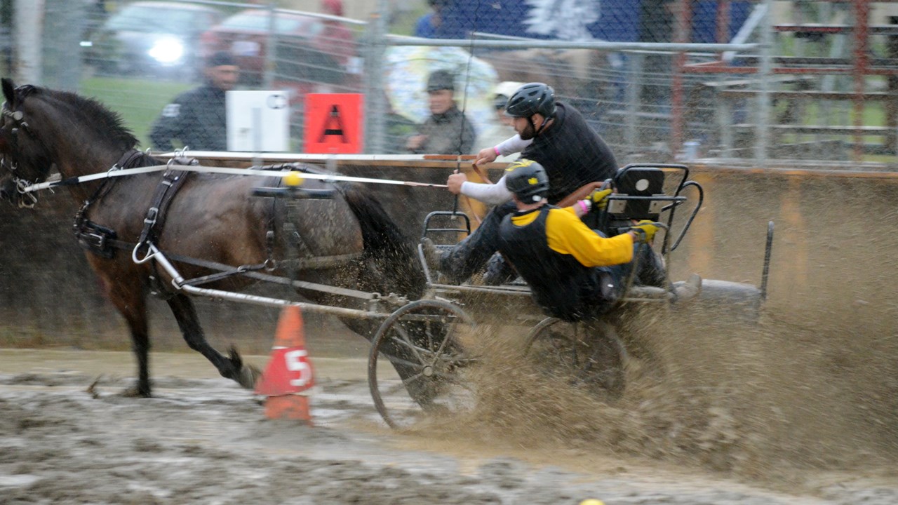 Un derby d'attelage sous une pluie battante à Nashville en Beauce