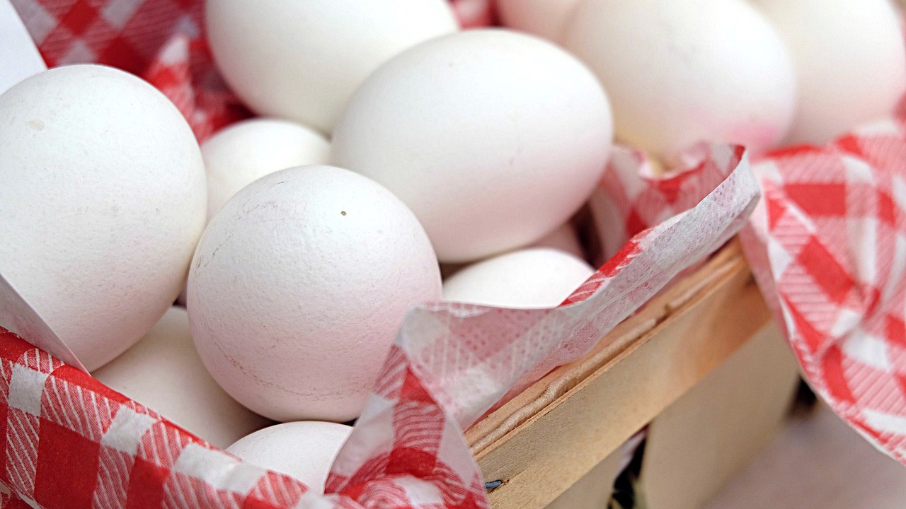 Oeufs contaminés au Fipronil : aucune contamination au Canada selon la FPOQ
