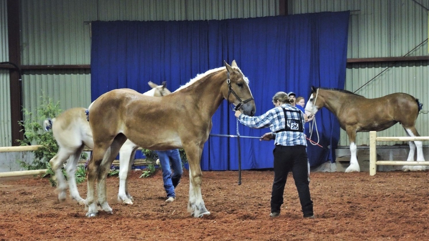 La 53e édition de l'Exposition agricole de Beauce se déroule sur le terrain de l'aréna de Saint-Honoré-de-Shenley du 9 au 13 août 2017.