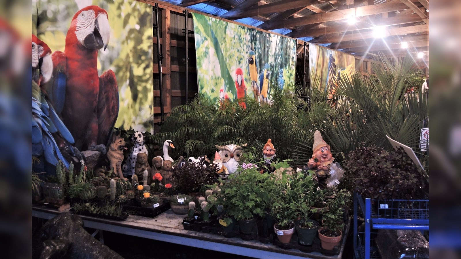 La 53e édition de l'Exposition agricole de Beauce se déroule sur le terrain de l'aréna de Saint-Honoré-de-Shenley du 9 au 13 août 2017.