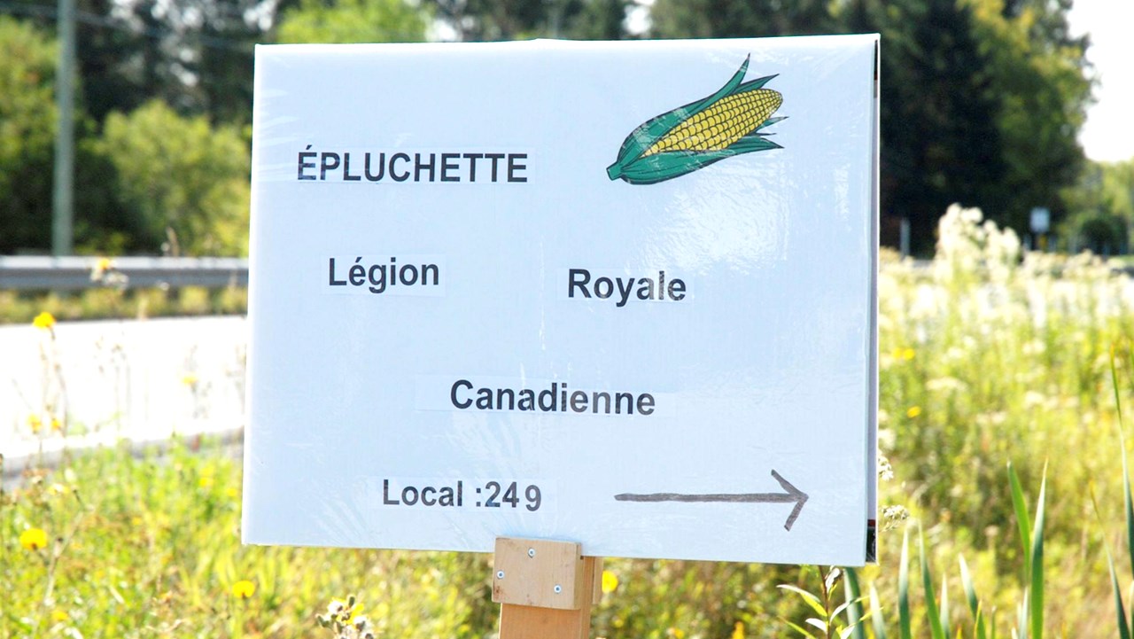 Près de 50 personnes à l'épluchette de blé d'Inde annuelle de la Légion 