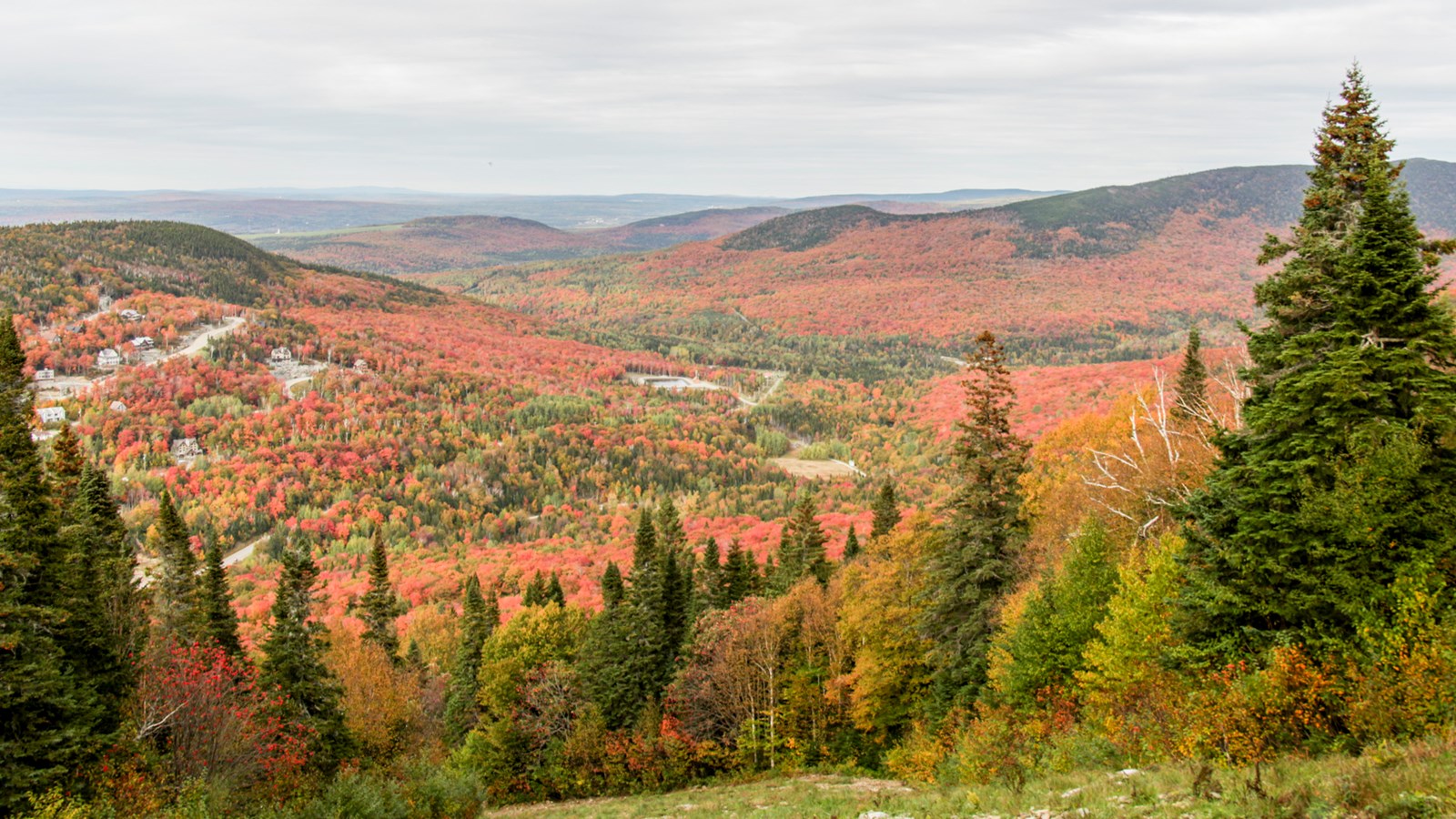 Toute l'équipe du Massif du Sud s'active à préparer au mieux la station pour l'hiver