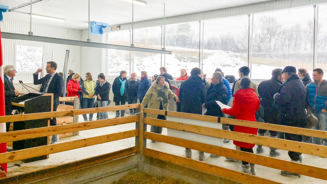 Une contribution de 430 000 $ pour venir en aide aux producteurs ovins