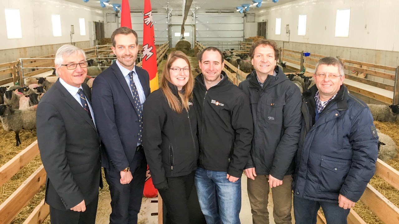 Une contribution de 430 000 $ pour venir en aide aux producteurs ovins