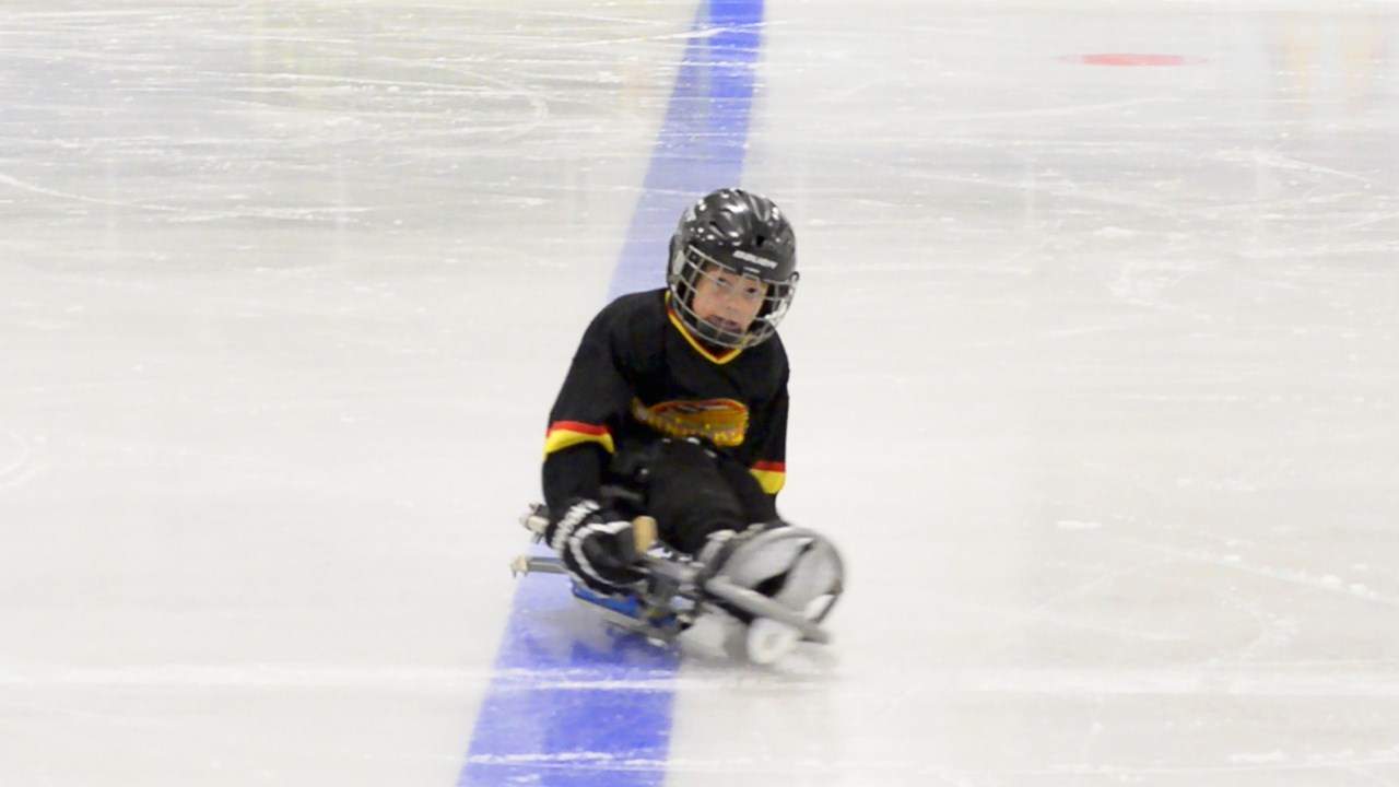 Initiation au hockey sur luge, un sport ouvert à tous qui abolit les handicaps