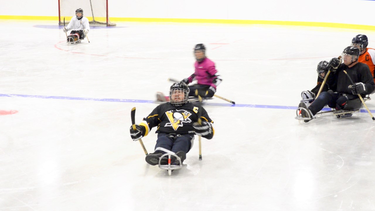 Initiation au hockey sur luge, un sport ouvert à tous qui abolit les handicaps