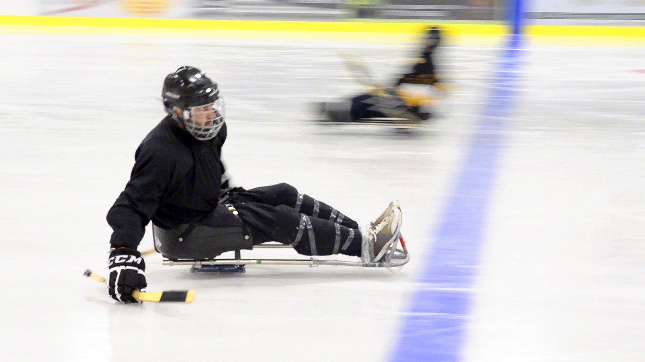Initiation au hockey sur luge, un sport ouvert à tous qui abolit les handicaps