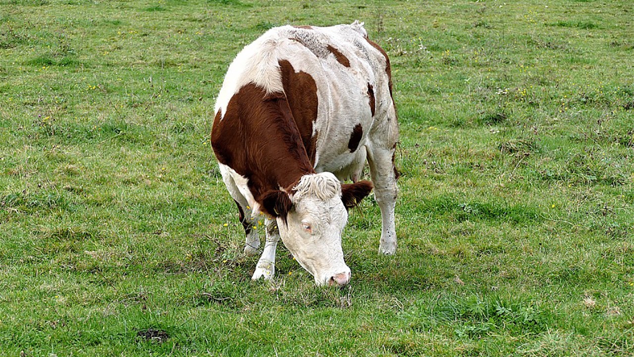 Dévoilement des activités de la Financière agricole dans la région : le gouvernement du Québec continue de s’impliquer