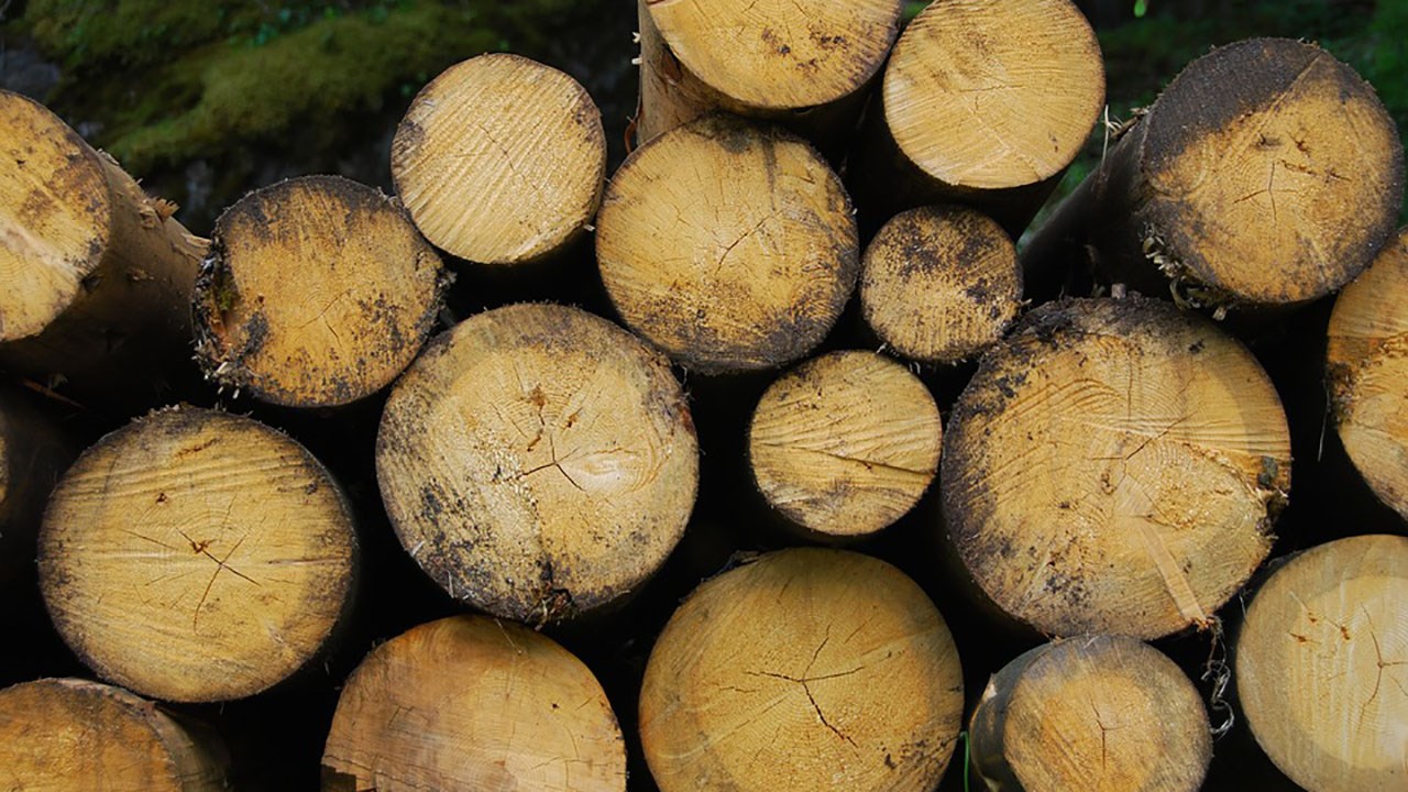 L’UMQ est heureuse de la bonification du programme de biomasse forestière