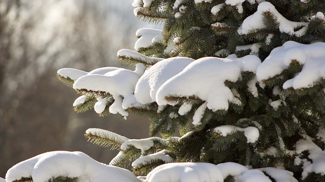 Le froid reviendra en fin de semaine