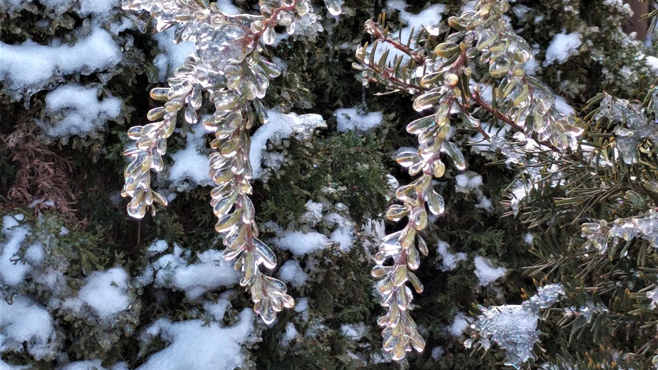 Une tempête printanière affectera la région dimanche et lundi