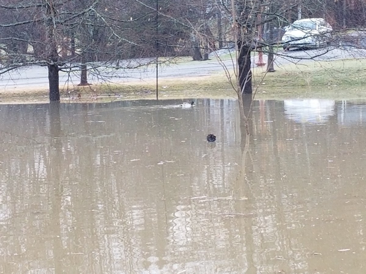 Photos de l'inondation printanière à Vallée-Jonction, St-Joseph et Beauceville