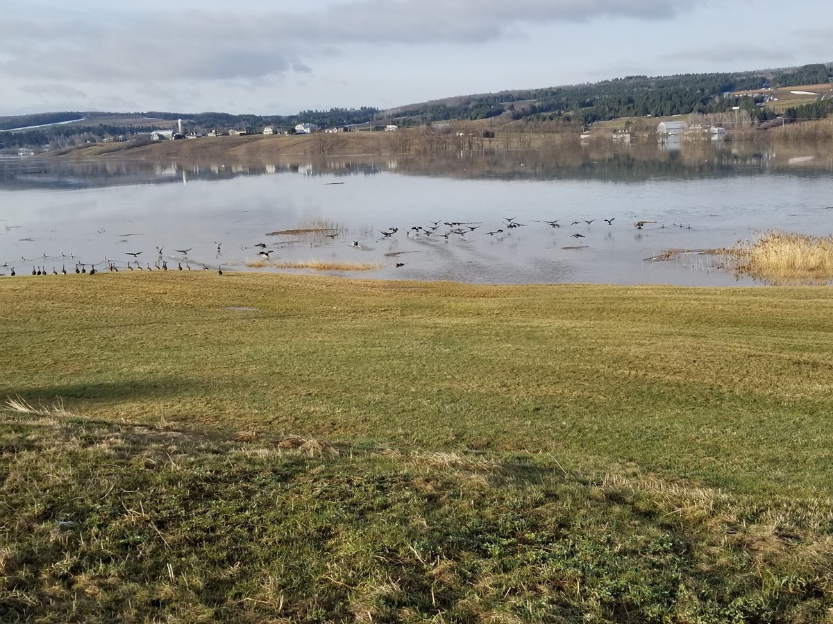Photos de l'inondation printanière à Vallée-Jonction, St-Joseph et Beauceville