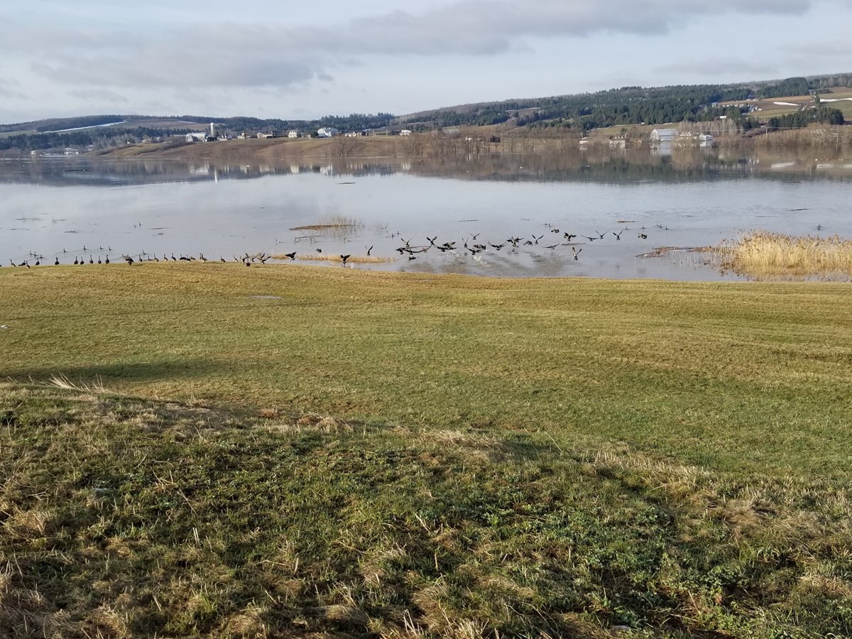 Photos de l'inondation printanière à Vallée-Jonction, St-Joseph et Beauceville