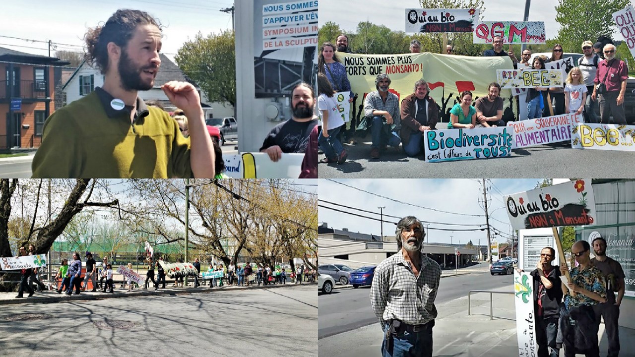 La marche contre Monsanto du samedi 19 mai 2018 a rassemblé une trentaine de personnes à Saint-Georges.