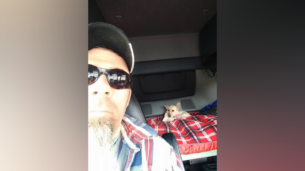 Un camionneur est décédé dans un accident aux États-Unis