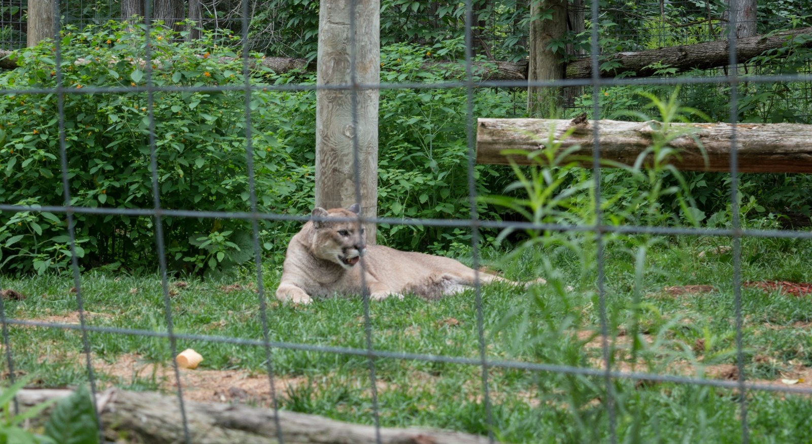 Le Miller zoo : une initiative hors du commun