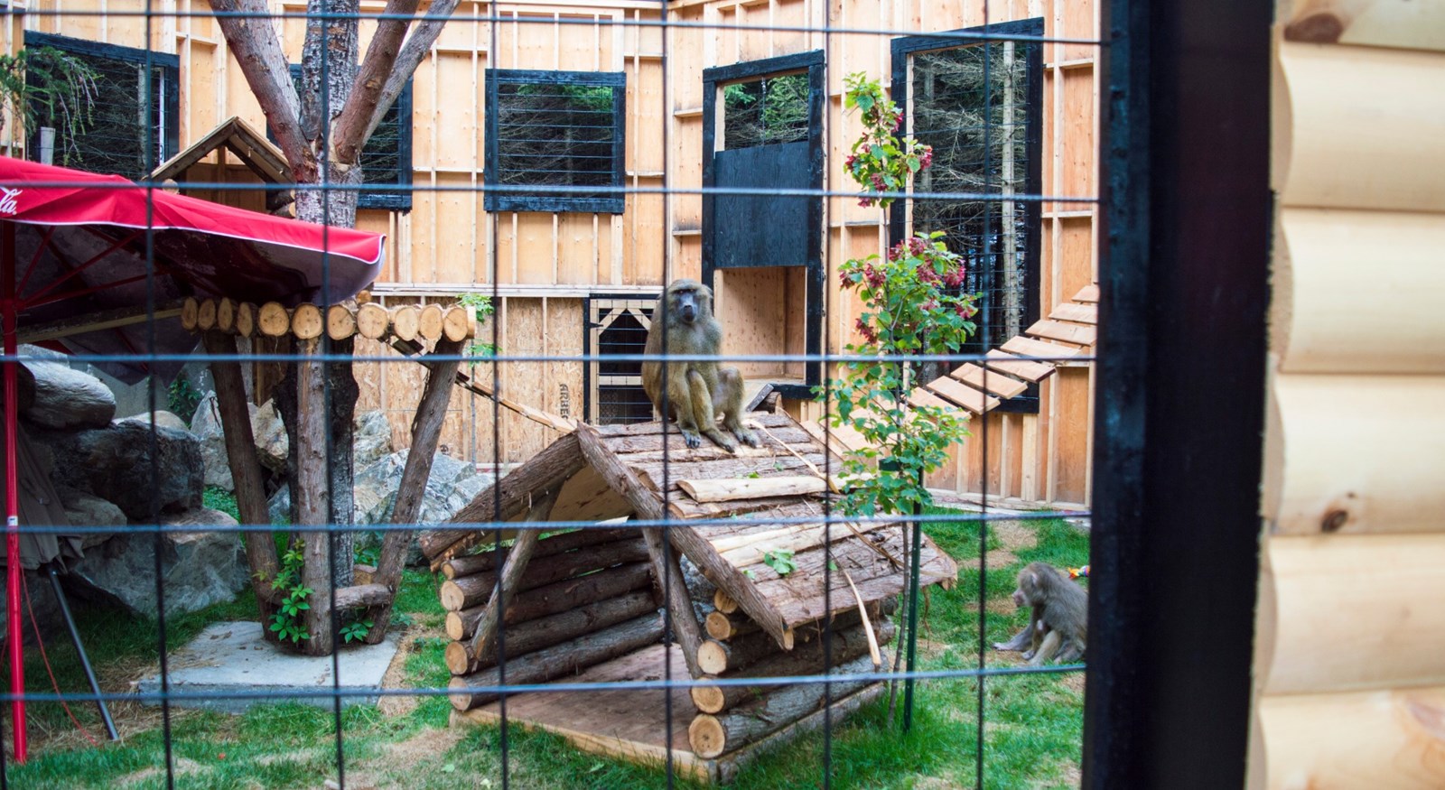 Le Miller zoo : une initiative hors du commun