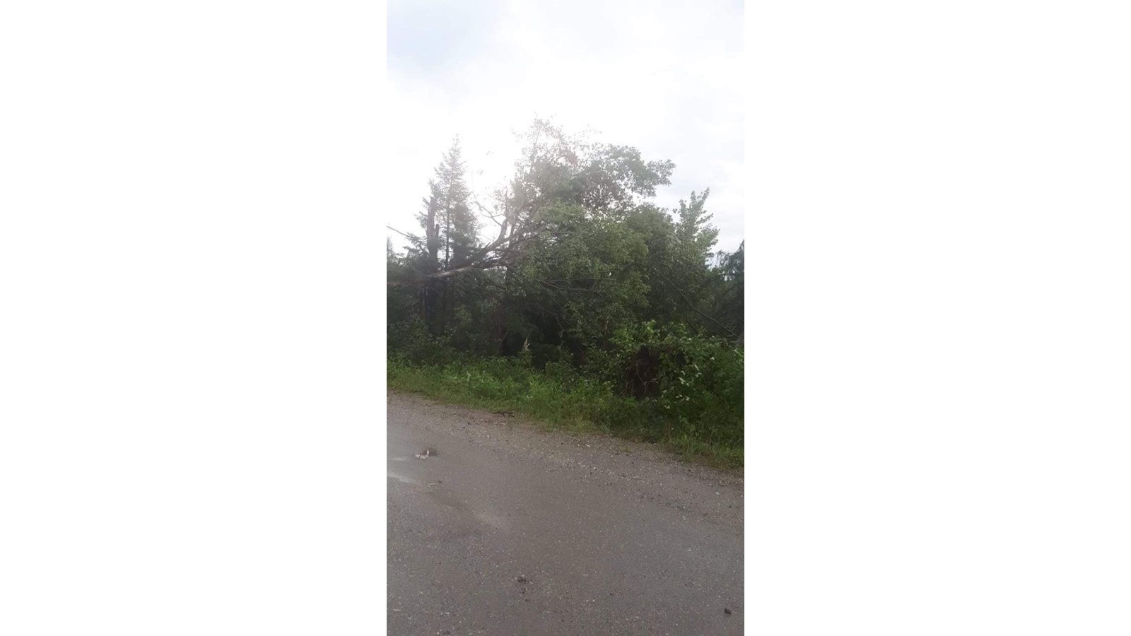Photos des dégâts à St-Julien mercredi après-midi