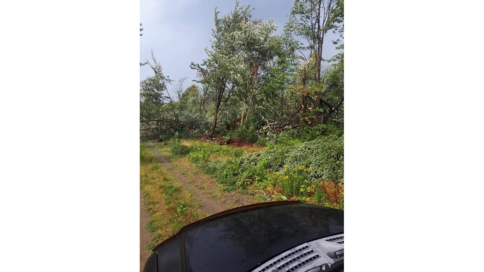 Photos des dégâts à St-Julien mercredi après-midi