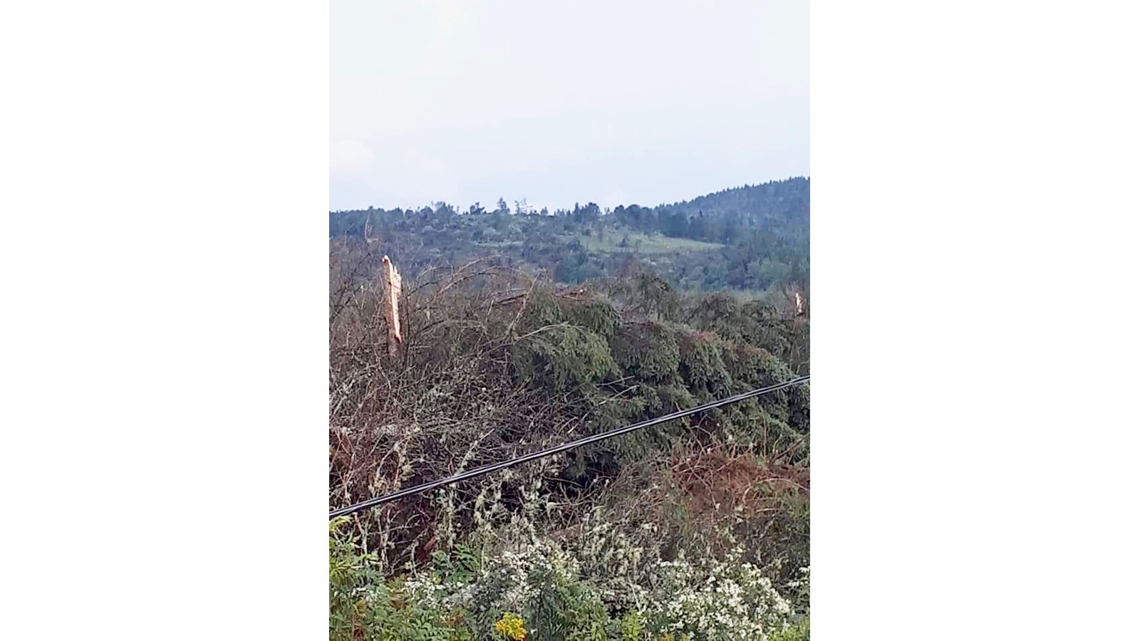 Photos des dégâts à St-Julien mercredi après-midi