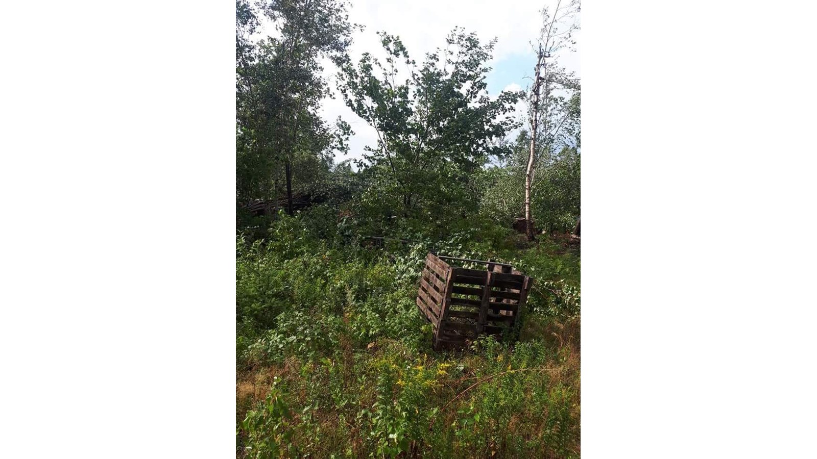 Photos des dégâts à St-Julien mercredi après-midi