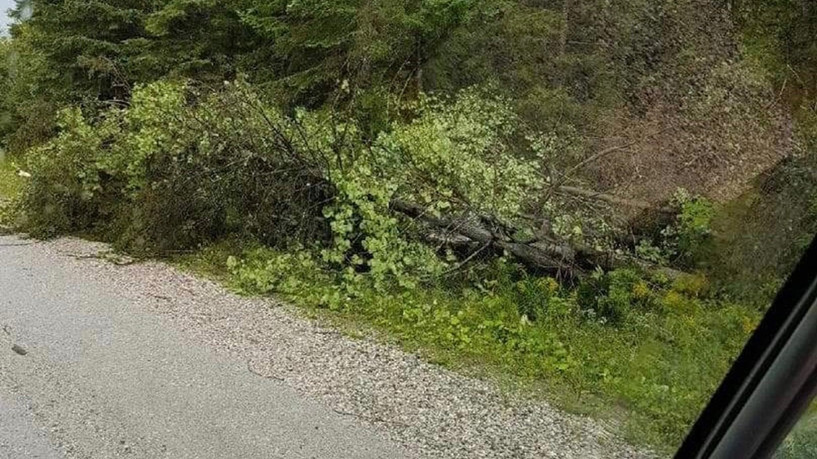 Photos des dégâts à St-Julien mercredi après-midi