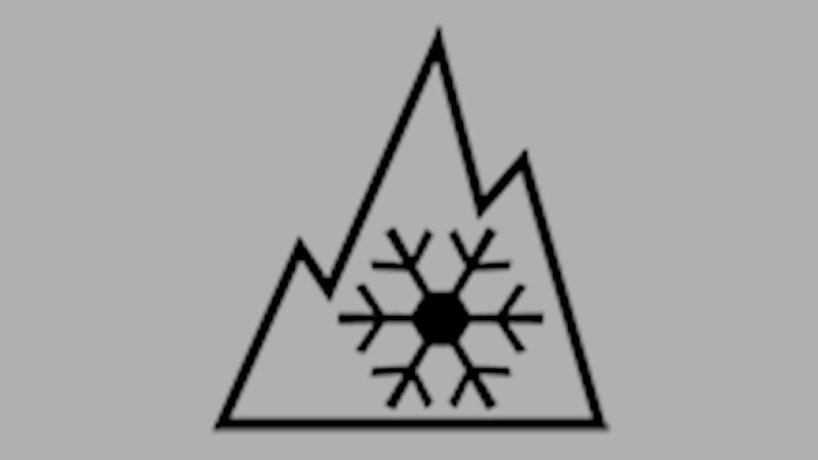 Le pictogramme indiquant qu'il s'agit de pneus d'hiver