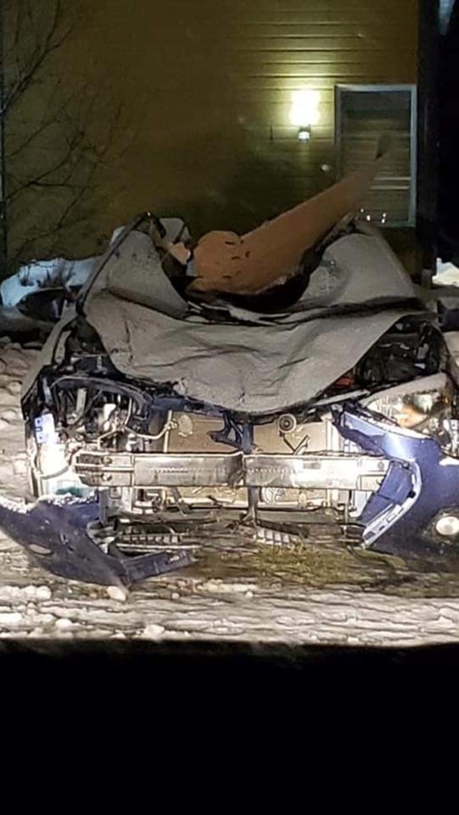 Collision entre un véhicule et un cheval sur la route 204