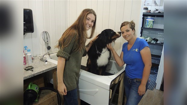 Kelly Larochelle, employée, et Cynthia Donahue, propriétaire de la garderie pour chiens Le Chien d'Or. 